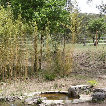 Villa Villekulla Dependance Avec Spa Privatif Le Plan-de-la-Tour Buitenkant foto