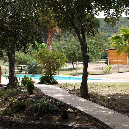 Villa Villekulla Dependance Avec Spa Privatif Le Plan-de-la-Tour Buitenkant foto