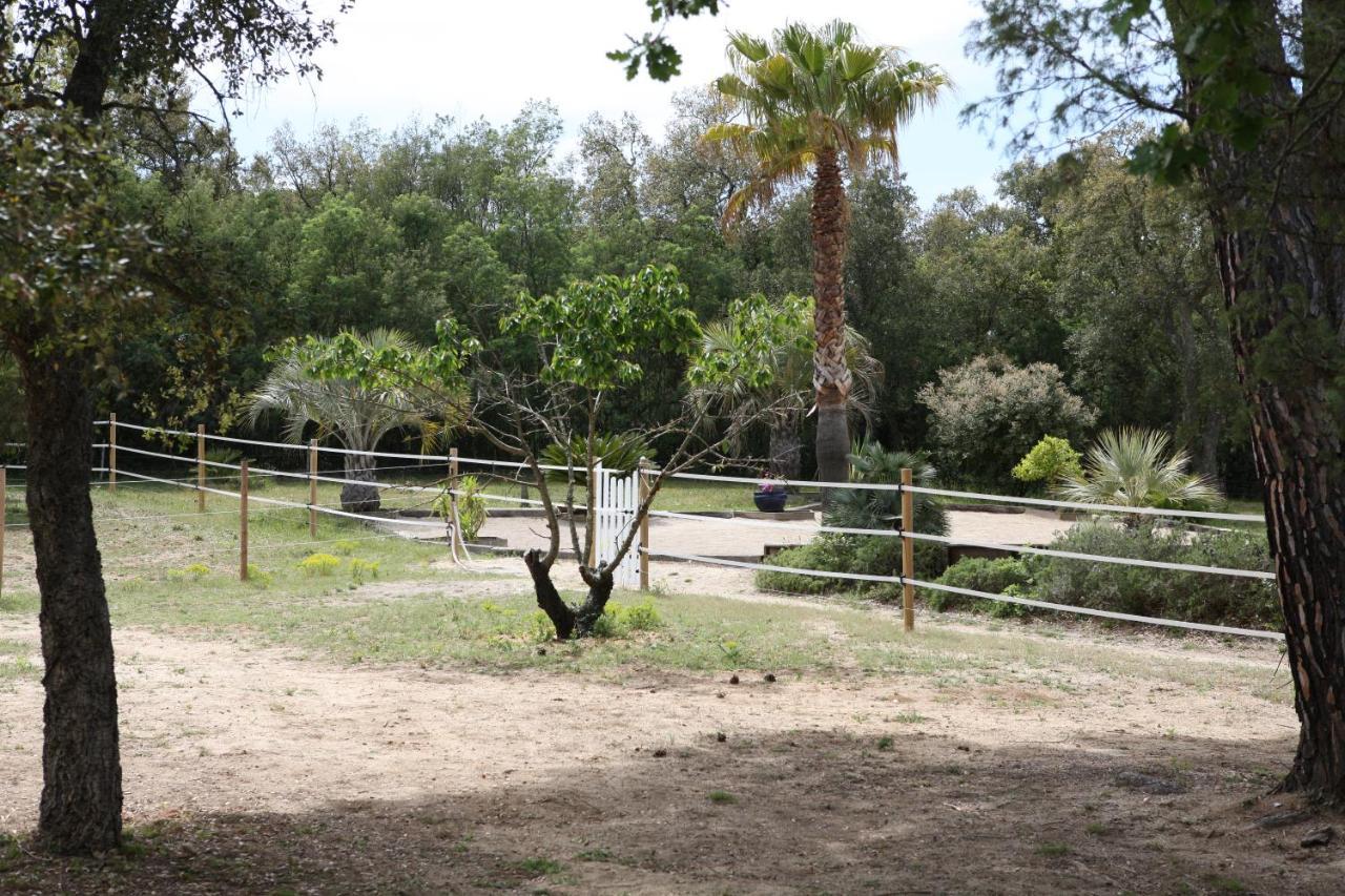 Villa Villekulla Dependance Avec Spa Privatif Le Plan-de-la-Tour Buitenkant foto
