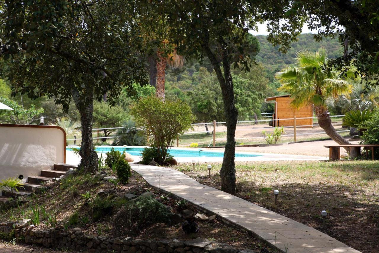 Villa Villekulla Dependance Avec Spa Privatif Le Plan-de-la-Tour Buitenkant foto